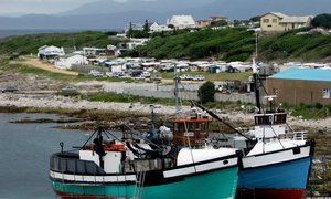 Besoekersgetalle lyk belowend